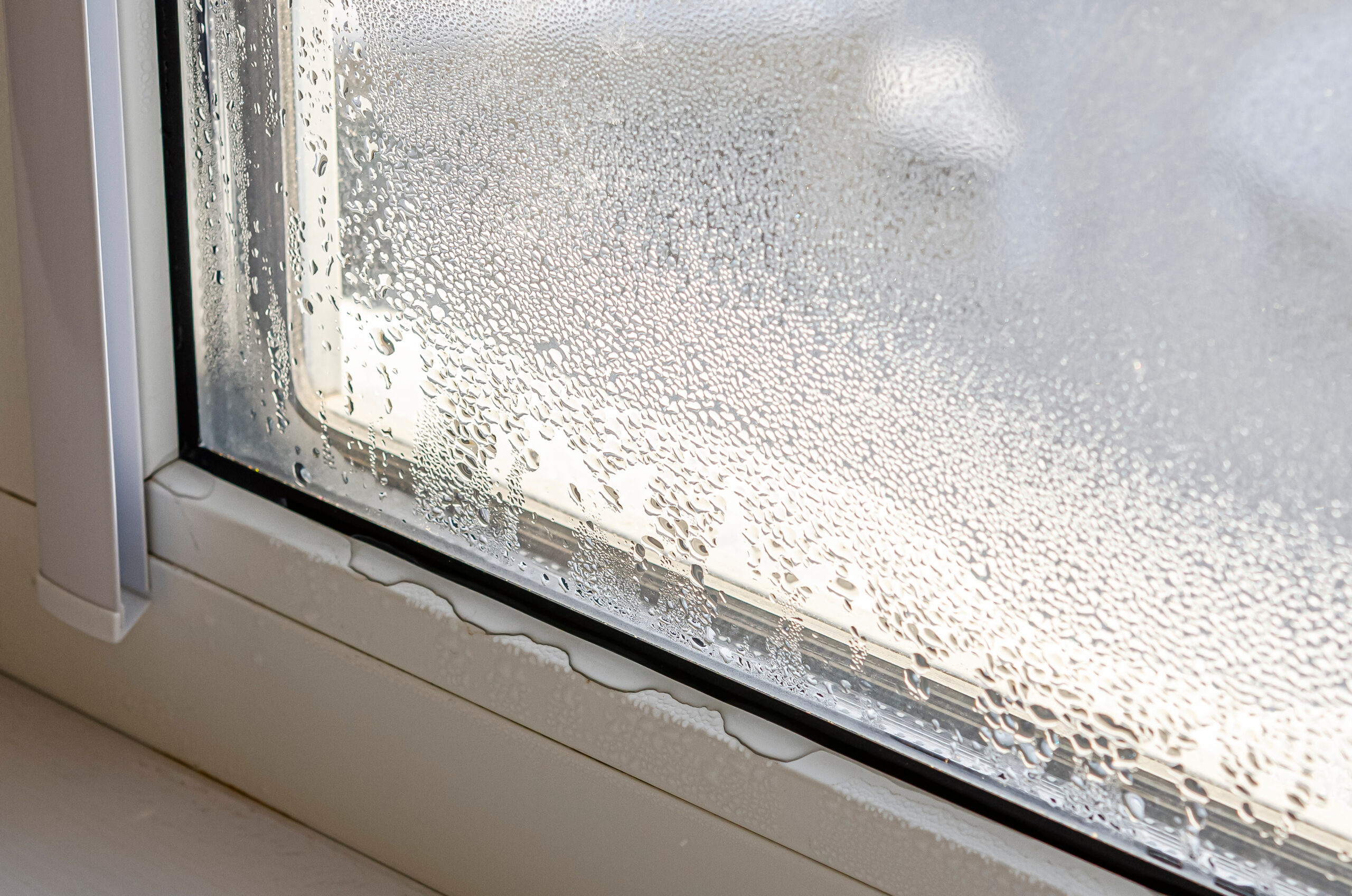 Drops of condensate and black mold on a substandard vinyl window.