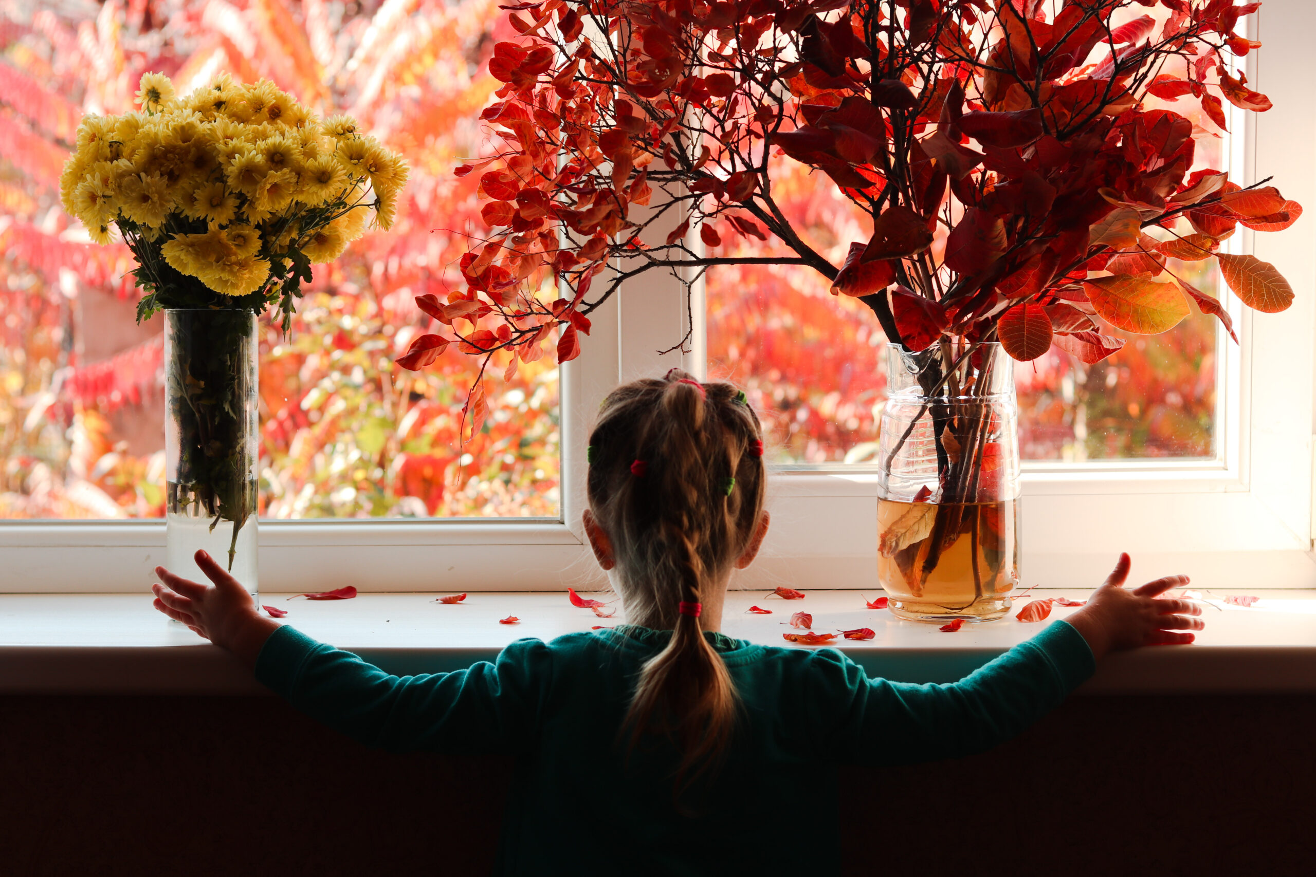 Earthwise Windows Replacing Windows in the Fall