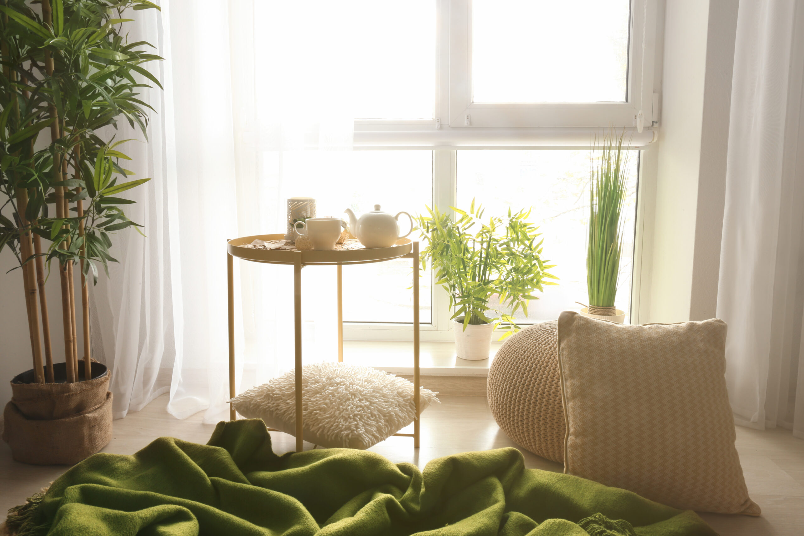 Cozy place for rest with pillows and soft plaid near window in room