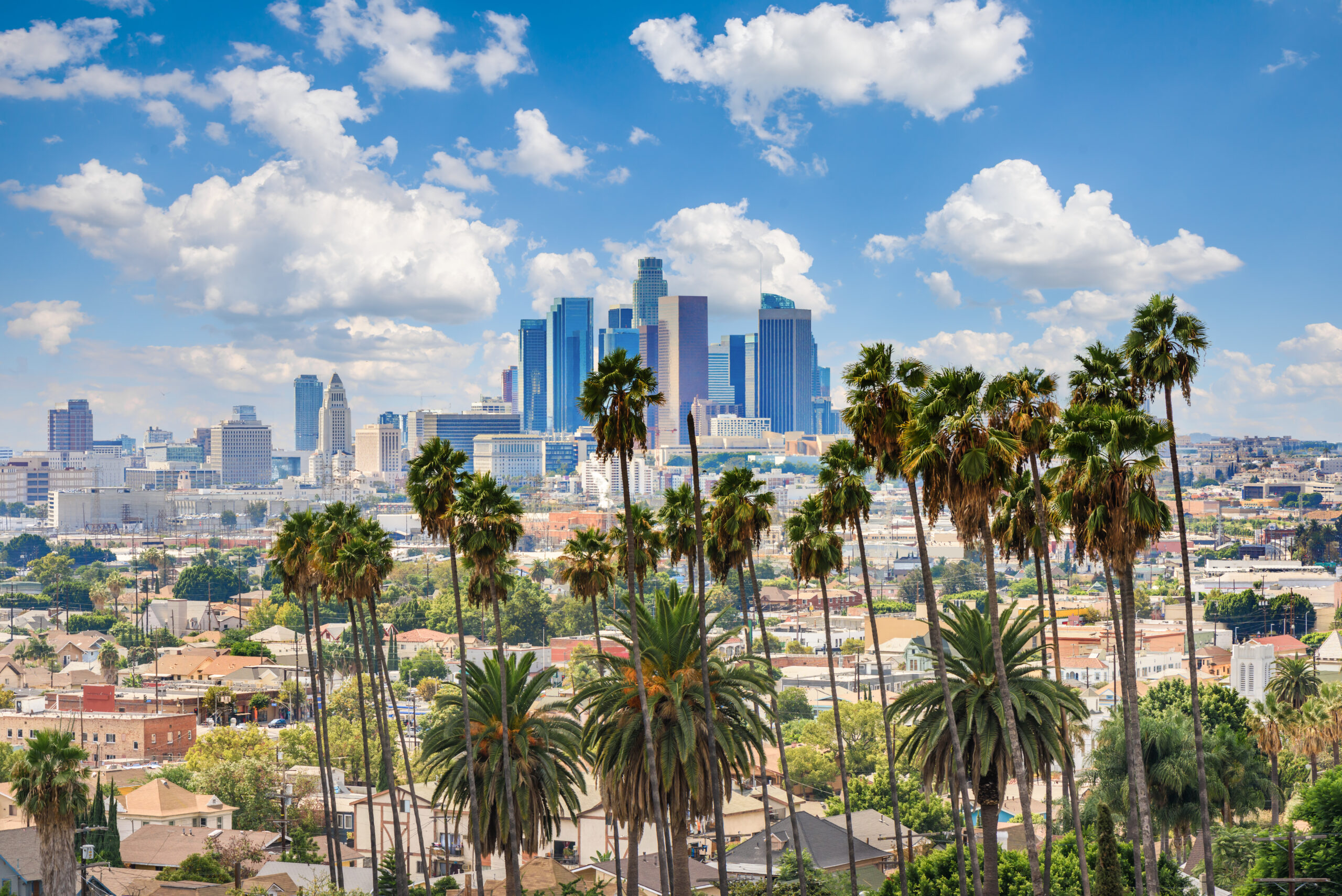 Beautiful cloudy day of Los Angeles downtown skyline and palm tr Beautiful cloudy day of Los Angeles downtown skyline and palm trees in foreground
